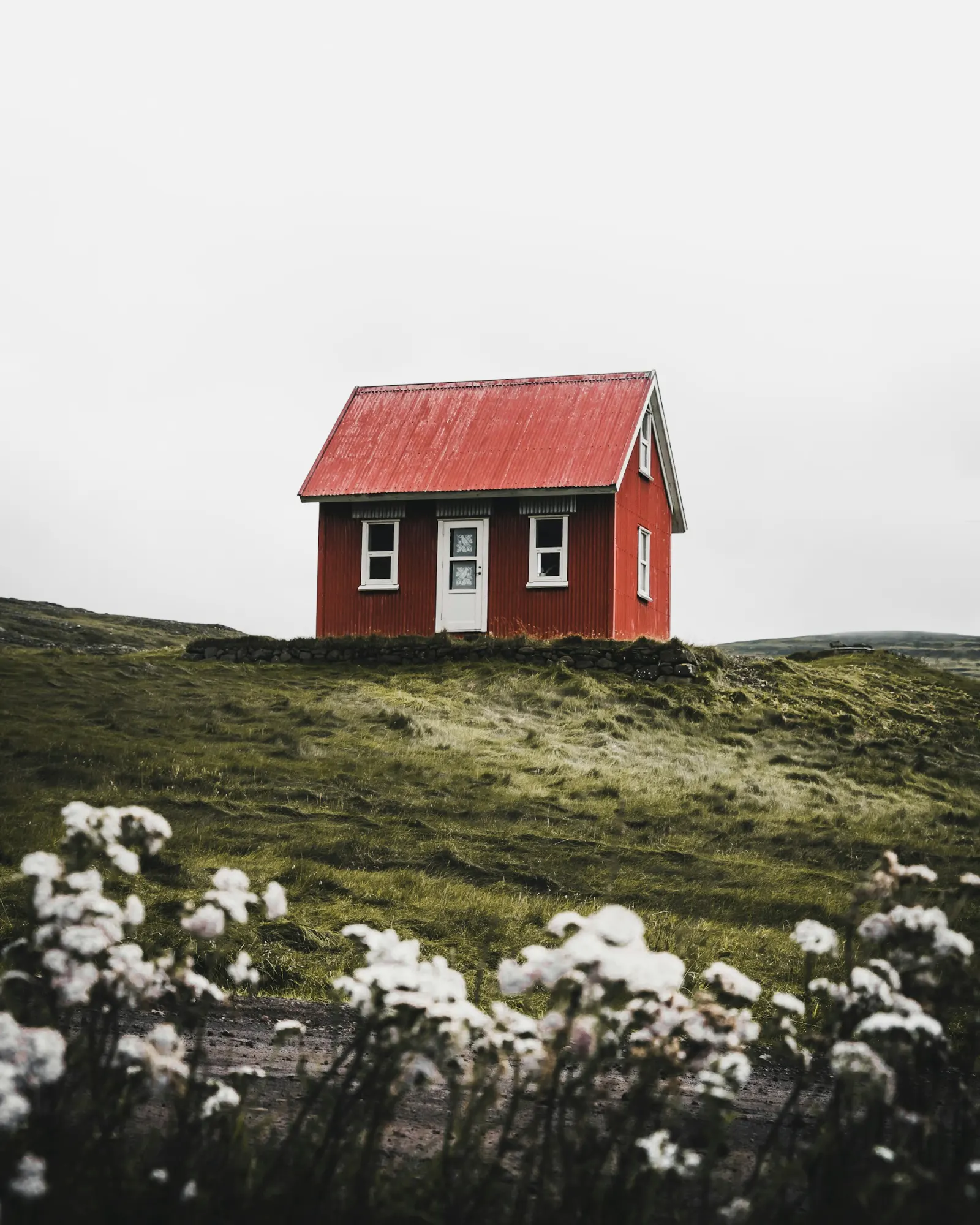 Modern container home in a natural landscape
